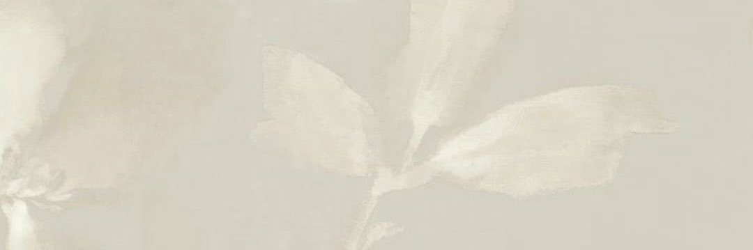 小心心 banner