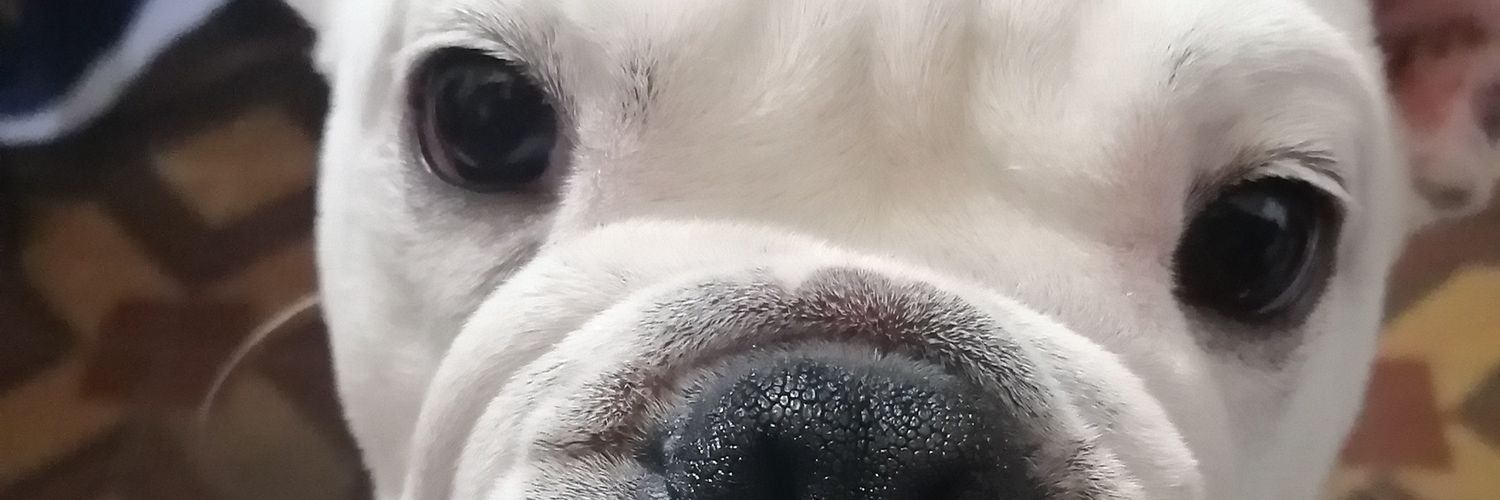 DanielaCC4's profile banner image