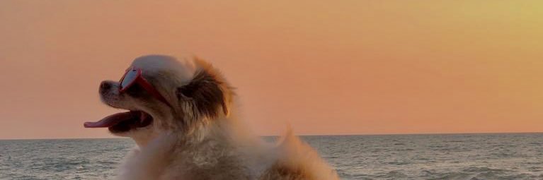 daliariverap's profile banner image