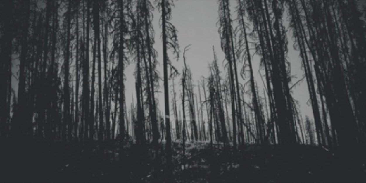 peraldtogdr's profile banner image