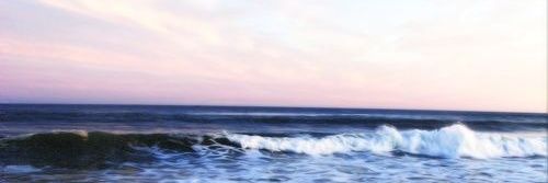 seallx_qq's profile banner image