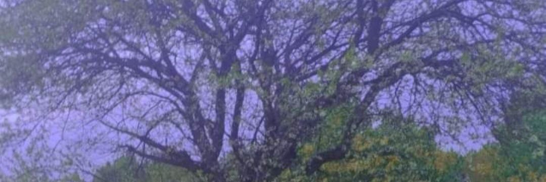 yhh1040758's profile banner image