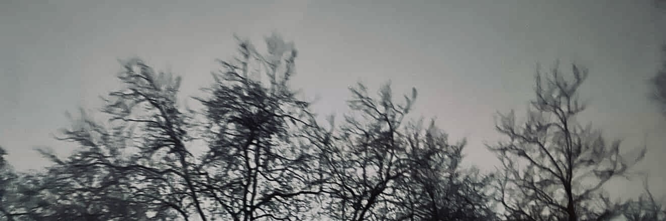 Nay banner