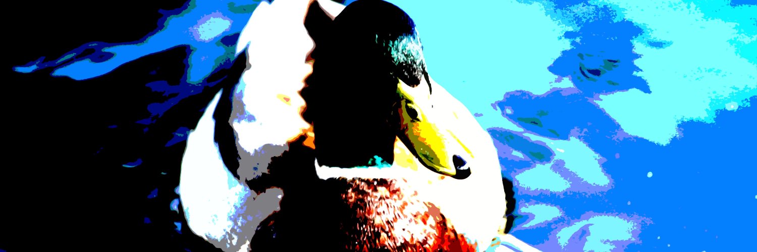 maybritt's profile banner image