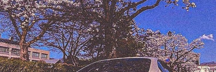 KTomoko97409's profile banner image