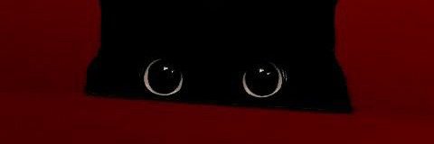 Stephany1901's profile banner image