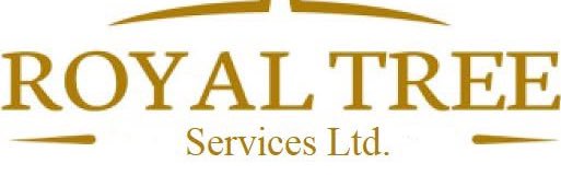 Dallas Kappel banner