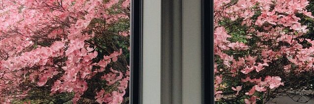 xroeb's profile banner image