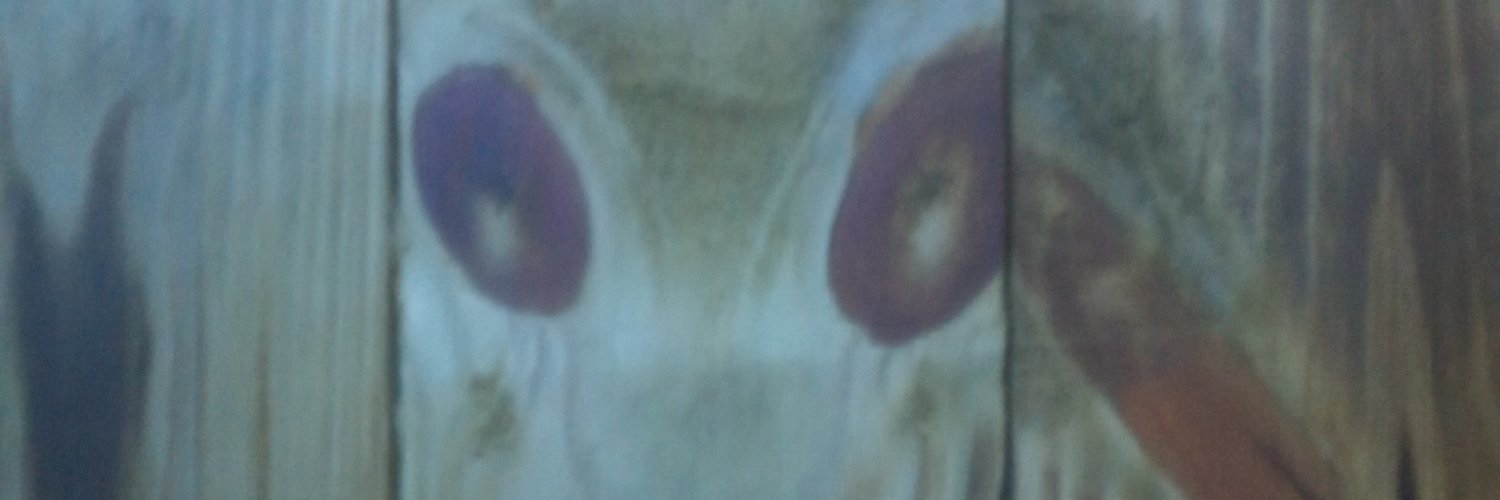 queijocoxo's profile banner image