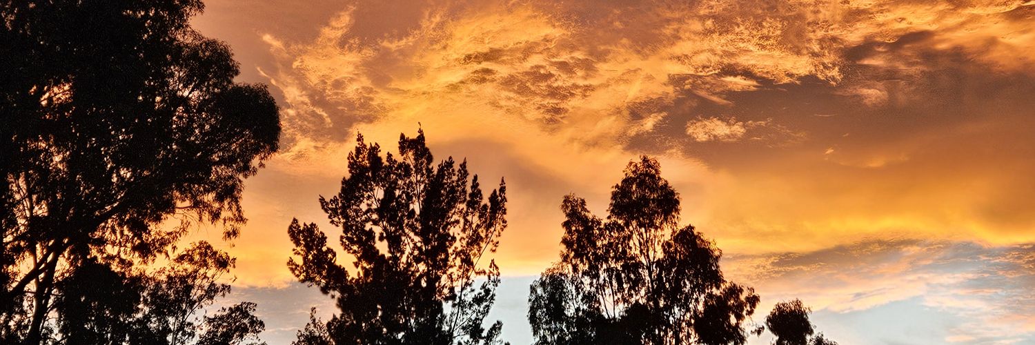 MoralesPin's profile banner image