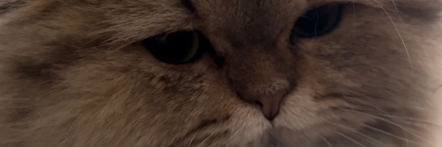 itszriiw's profile banner image
