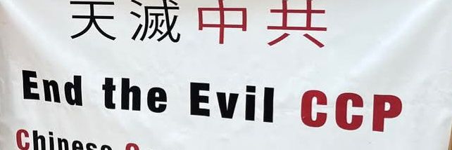 XingQiang He Freedom fighter banner