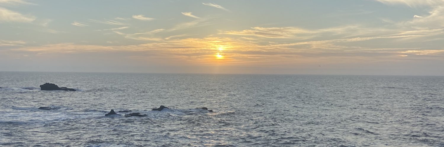 Anass Labchara | أنس البشارة banner