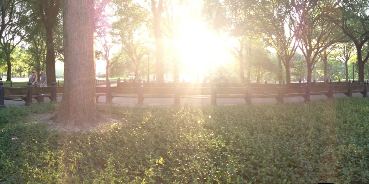 mrpayne545's profile banner image
