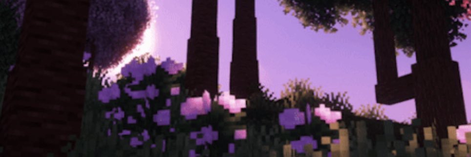 meow banner