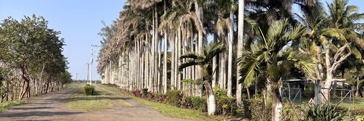 los Tuxtlas Veracruz banner