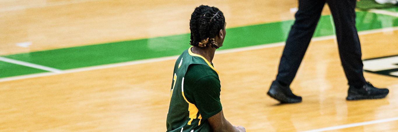 David Wilson ll banner