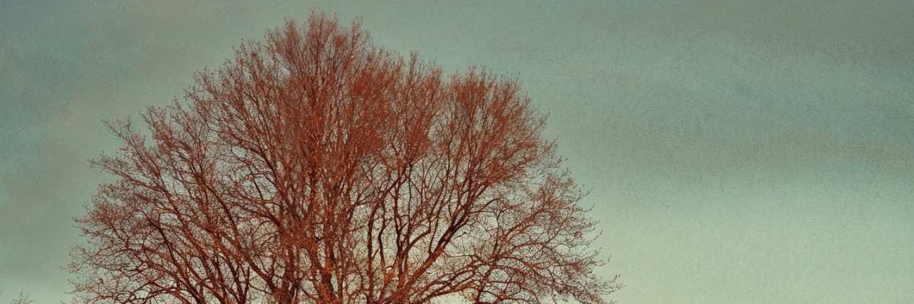 altac91's profile banner image