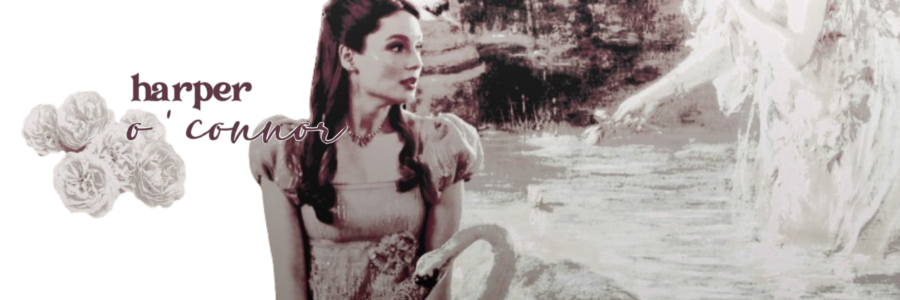 ‎ ‎ ‎ ‎ ‎ ‎ ‎ ‎ ‎ ‎ ꨄ ‎ ‎ ‎ ‎ ‎ ‎𝒉𝐚𝐫𝐩𝐞𝐫. banner