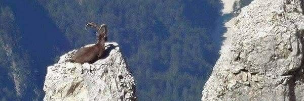 Tekbur banner