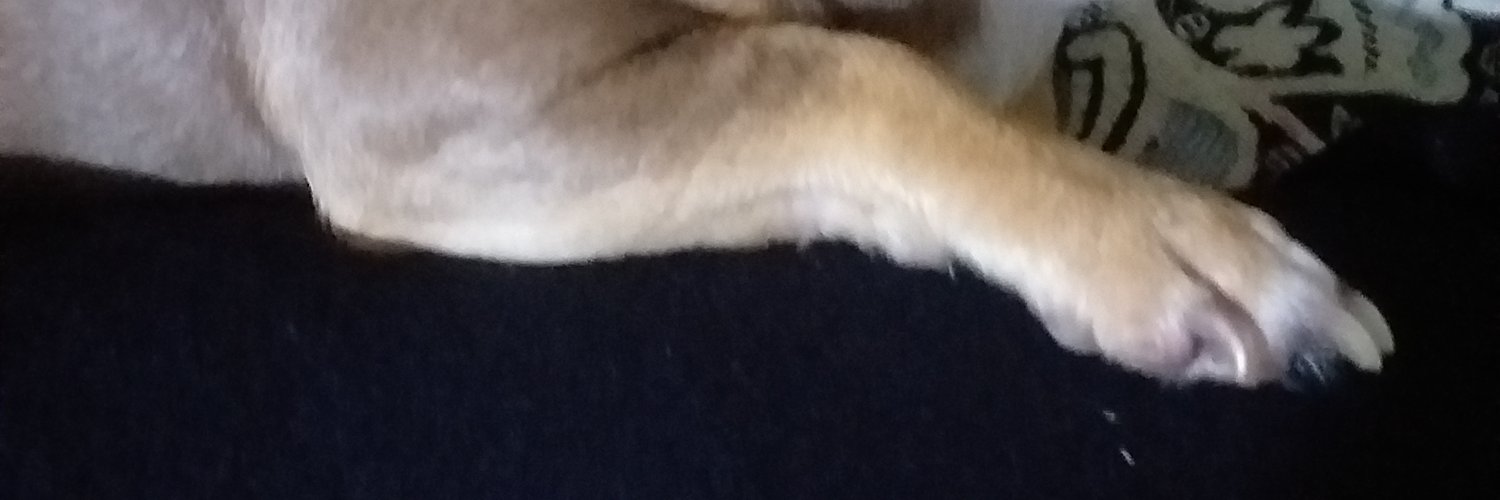 ykbeltran's profile banner image