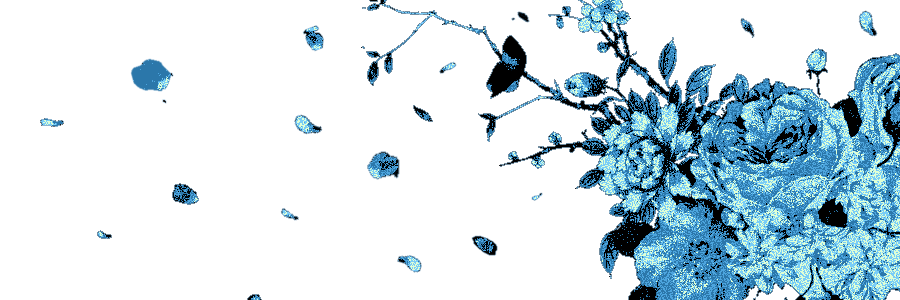 ᅠ˚˖𓍢ִ໋𐙚 ❛ 𝐇𝐈𝐉𝐀 ᴅᴇ 𝚕𝚊 𝑳𝑼𝑵𝑨 ❜ ᥫ᭡.* banner