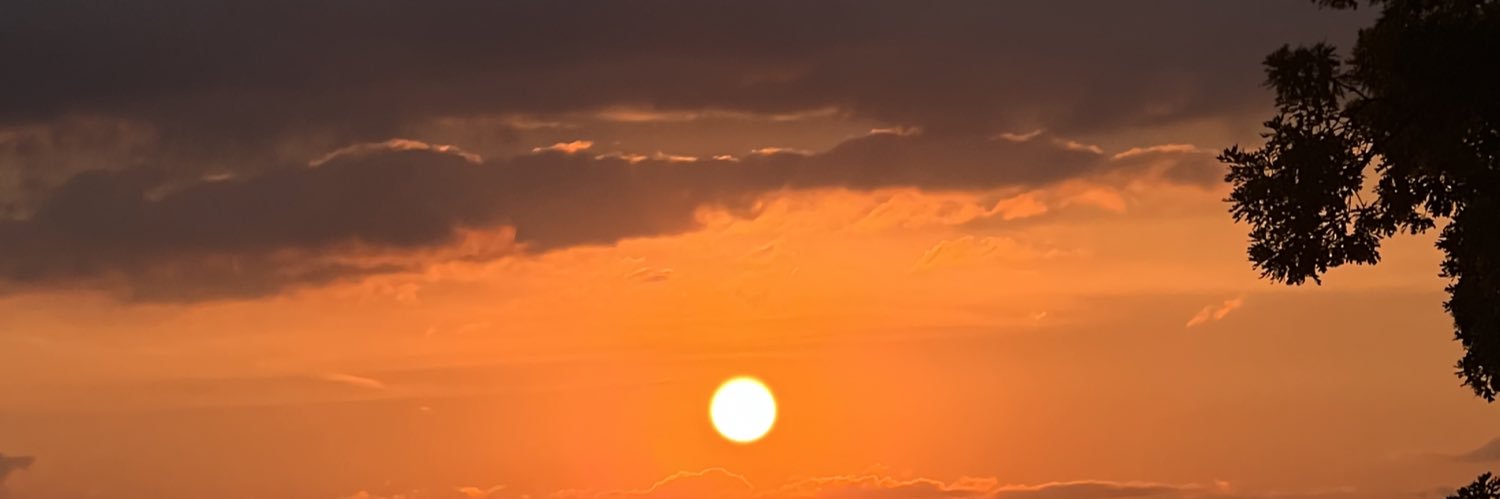 stvrstrvckk's profile banner image