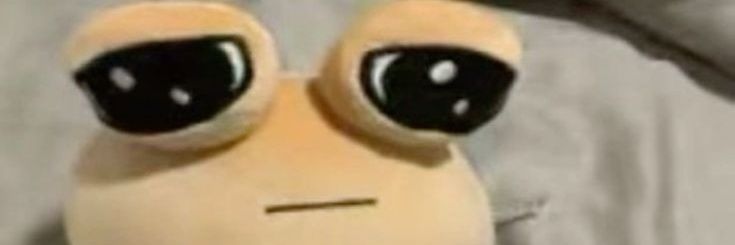 sertifiedbaddie's profile banner image