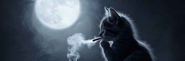 jussakitty Profile Banner