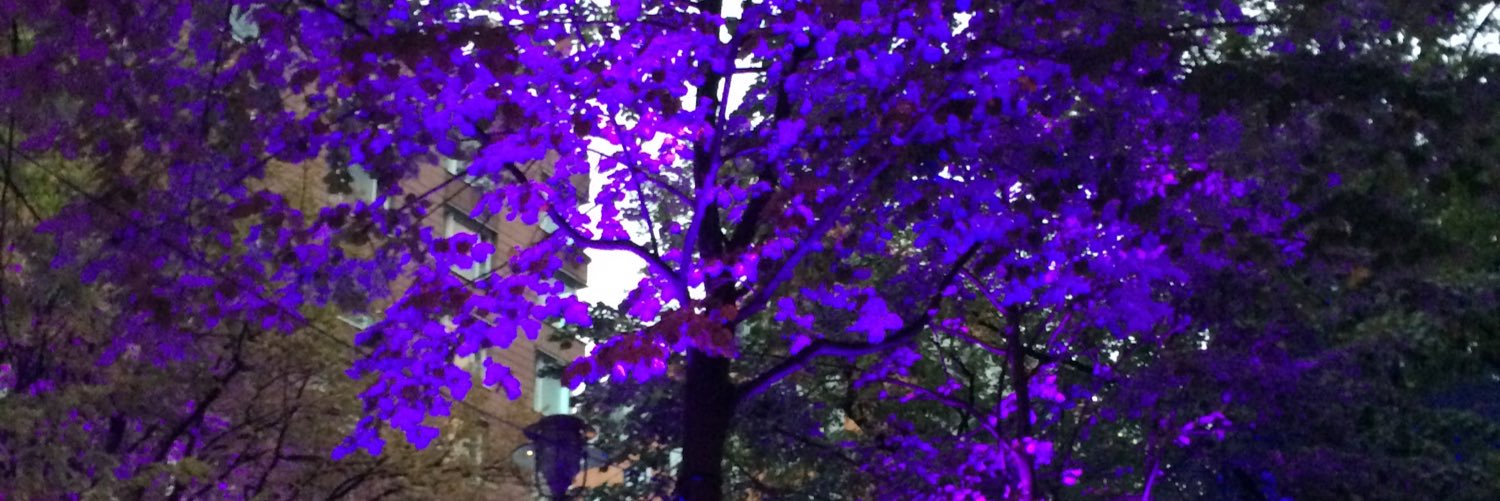 leaperkins's profile banner image