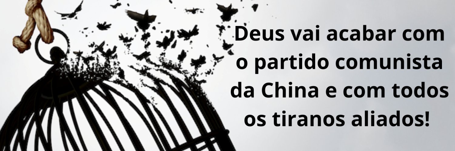 Valéria Affonso banner