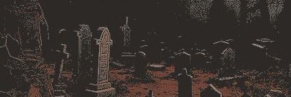 __rainedrop Profile Banner
