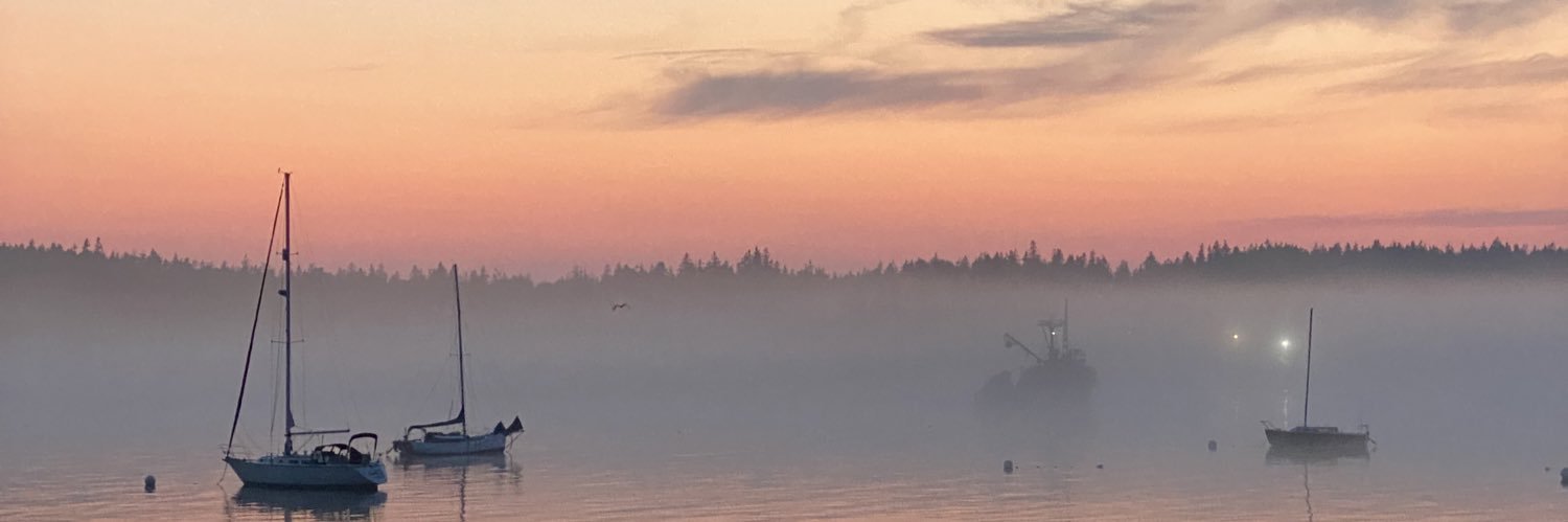 alyssaalsbrooks's profile banner image