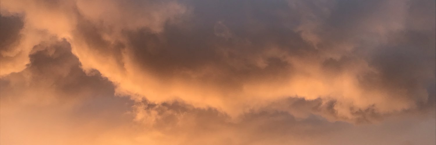 MRicklund's profile banner image