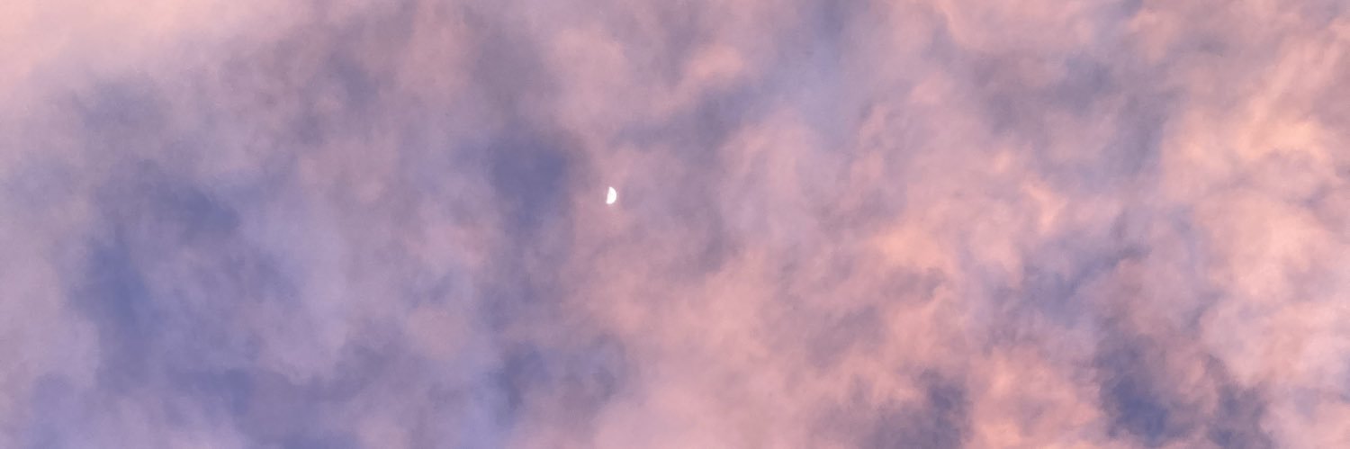 pau_langle's profile banner image