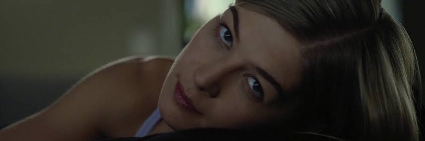 fralda pra sagui banner