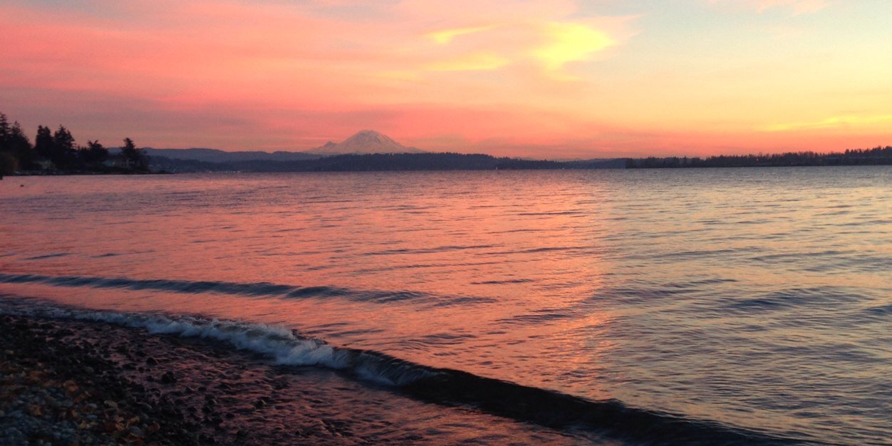 Bryce Johnson banner