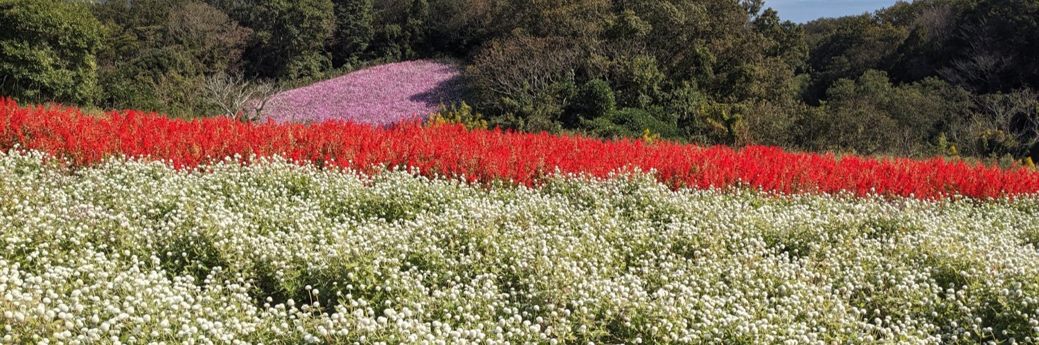 チュチュズ亡霊 banner