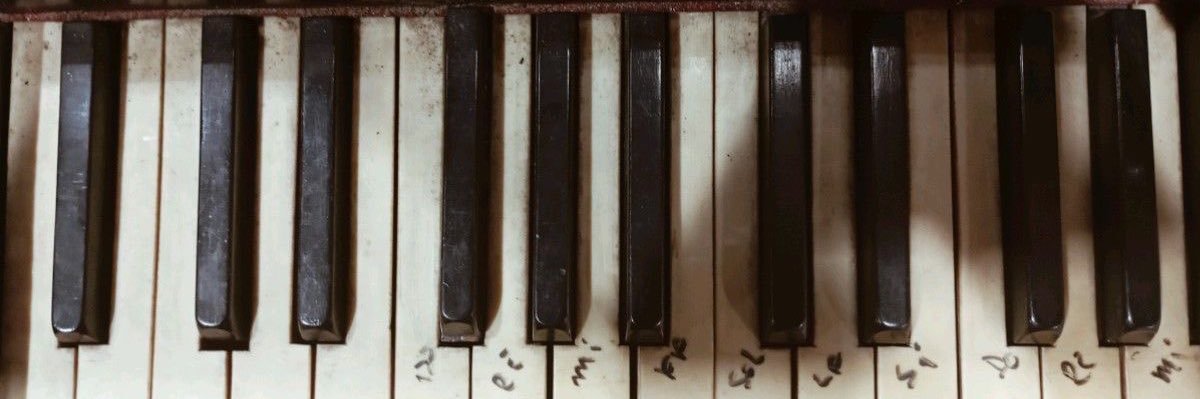 🪞 banner