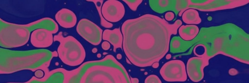 Ray ✨ banner