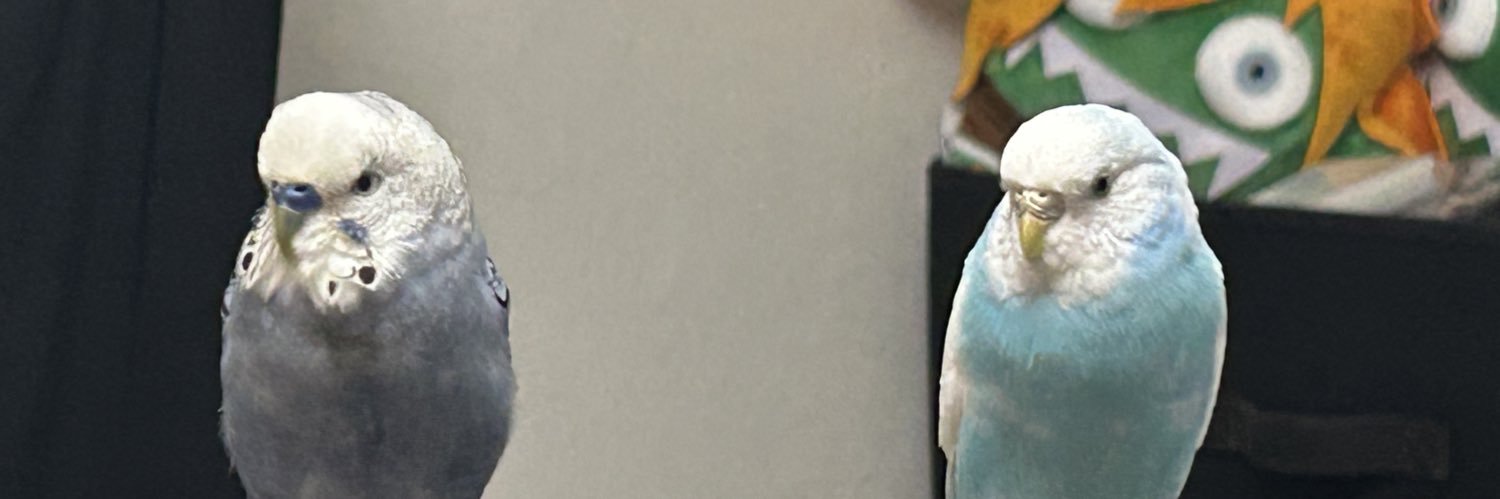 きのこバター banner