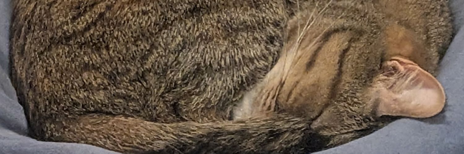 Fu_rari_'s profile banner image