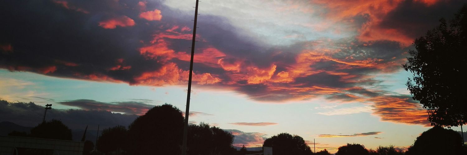 Nora_Celia's profile banner image