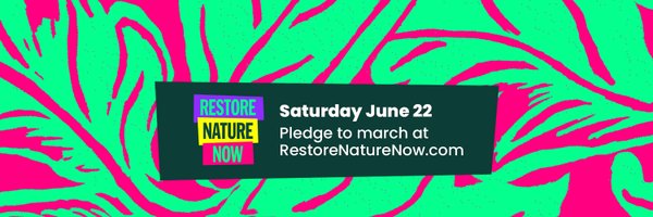 RNNMarch Profile Banner