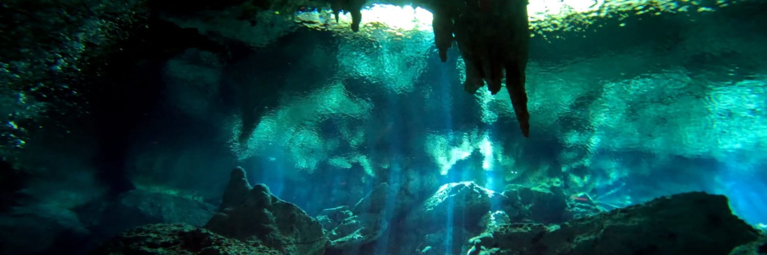 Rusty Fish🌊 banner