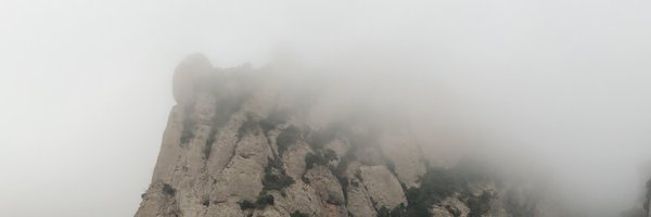 whiteperill Profile Banner