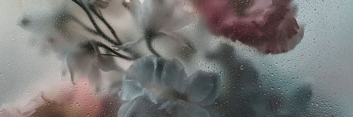うあ@取引専用垢 banner