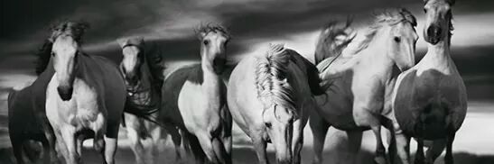 MaryLupilla's profile banner image