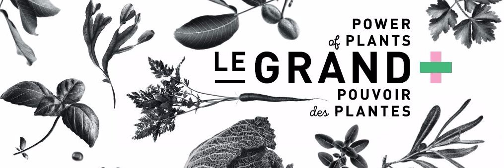 MaisonLeGrand's profile banner image