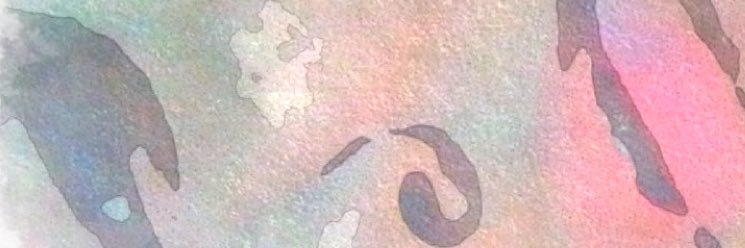 MsMandyGSD's profile banner image